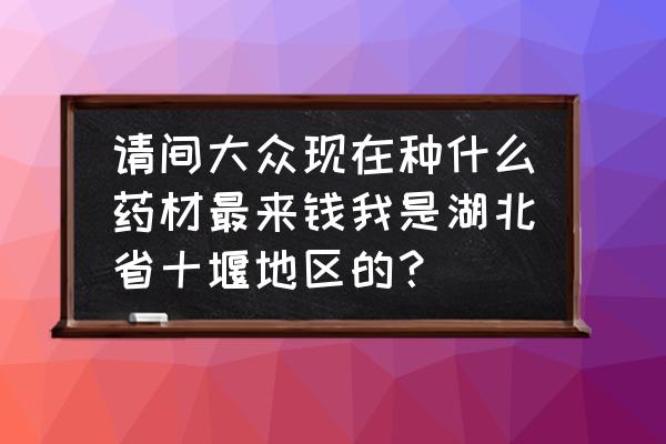 板蓝根可以用什么代替 请间大众现在种什么药材最来钱我是湖北省十堰地区的？