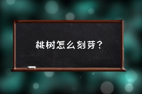 学做春天的桃手工简单又漂亮 桃树怎么刻芽？