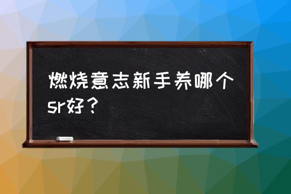 航海王燃烧意志新手怎么培养角色 燃烧意志新手养哪个sr好？