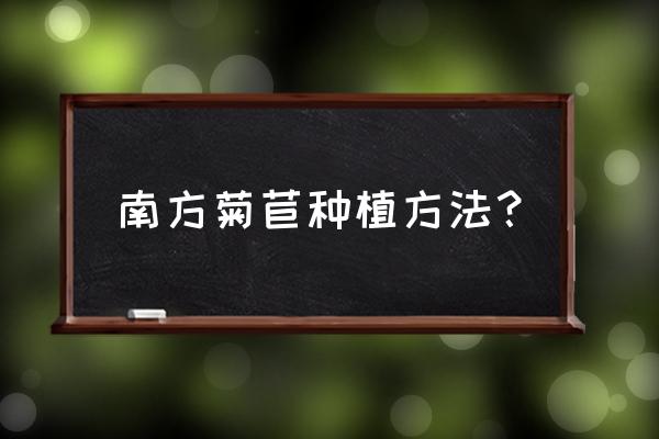 菊苣种子怎么种植 南方菊苣种植方法？