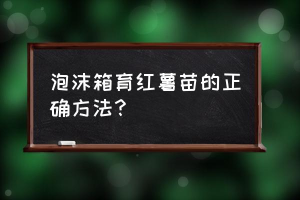 种子发芽箱价格表 泡沫箱育红薯苗的正确方法？